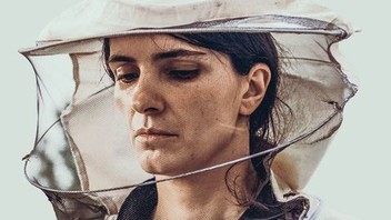 Hive (Kosovo, 2021) – Honey, Loss, and the Quiet Revolution of&nbsp;Resilience