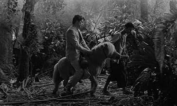 Grand Tour (Portugal, 2024) – The Invention of&nbsp;Distance