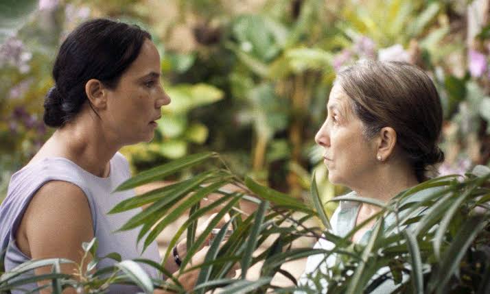 Beloved Tropic (Panama, 2024) – Two Lonely Lives Bloom Under the Same&nbsp;Sky